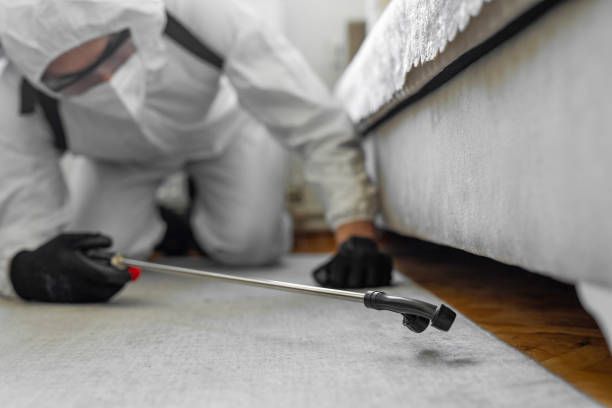 Professional Termite Control technician working in Florida Gulf Coast University, FL